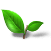 tea-plant-leaf-icon Feuille
